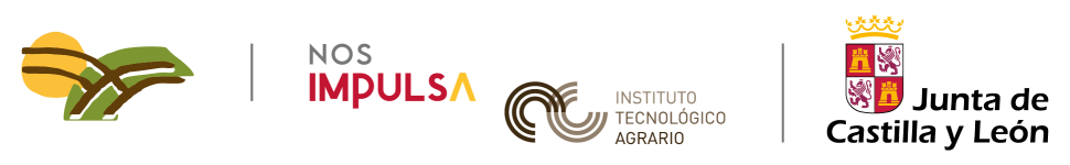 2025IGPNosImpulsaJCyL@0.5x